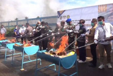 Pemberantasan Produk Ilegal, Jutaan Batang Rokok Senilai Rp 2,4 Miliar Dimusnahkan Bea Cukai Jambi