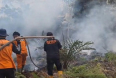 Tiga Hektare Lahan Perkebunan di Tenam Terbakar, Petugas Berjibaku Hingga Tengah Malam