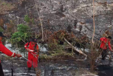 BPBD Batang Hari Siagakan 38 Personel Antisipasi Karhutla