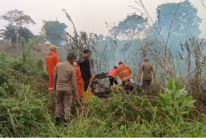 Karhutla di Batang Hari, Dua Hektare Lahan Terbakar di Muara Bulian