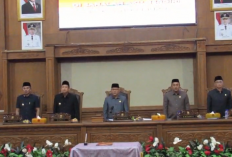 Karhutla Jadi Sorotan, Pemkab Muaro Jambi Perketat Aturan: Lahan Terbakar Dilarang Ditanami