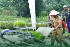 Sasaran Tanam Padi 2026, Pemkab Batang Hari Targetkan Seluas 9.000 Hektar