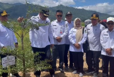 Gerakan Tanam Pohon Warnai HUT Jambi ke-69 di Kota Sungai Penuh