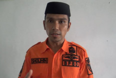 Waspada Ancaman Karhutla, 4 Kecamatan di Batang Hari Dianggap Paling Rawan