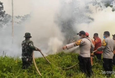 7 Hektare Lahan Perkebunan Sawit dan Jabon di Batang Hari Terbakar
