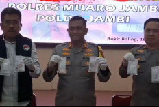 Belasan Pelaku Narkoba Diciduk Polres Muaro Jambi, Tiga Diantaranya Wanita