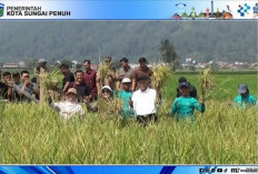 Wawako Azhar Hamzah Hadiri Tanam Perdana Padi Teknologi PM AAS di Sungai Penuh