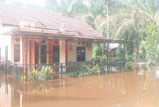 Puluhan Rumah Warga Desa Suka Maju Terendam Banjir
