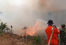 Karhutla di Batang Hari Hanguskan 1.497 Hektare Hutan dan Lahan