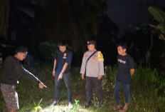 Petani Sawit di Sungai Bahar Ditemukan Tewas di Kebun, Diduga Tersengat Kabel Listrik PLN