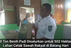 20 Ton Benih Padi Disalurkan untuk 502 Hektare Lahan Cetak Sawah Rakyat di Batang Hari