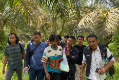 Polisi Bergerak Cepat, Warga SAD yang Hilang Pasca Bentrok di PT SAL Ditemukan Selamat