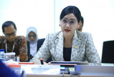 Apresiasi Reformasi OJK Dalam Sektor Asuransi Dan Dana Pensiun, OJK Terima Delegasi Fact-Finding Mission OECD