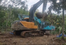 Berantas Peti Tim Zero Grebek 3 Peti Di Belakang PT. Jambi Waras