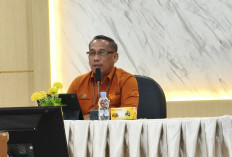 Diduga Dampak Konflik Timur Tengah, Ekspor Pinang Jambi Dikembalikan