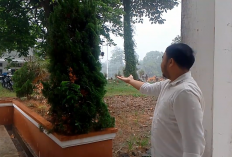 Hujan Lebat Guyur Tanjab Timur, Seluruh Wilayah Basah Diguyur Hujan