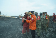 Gubernur Al Haris Berjibaku Padamkan Karhutla di Muaro Jambi, Dorong Masyarakat Manfaatkan Program PLTB