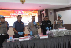Sebulan Operasi, Satresnarkoba Muaro Jambi Ringkus 17 Tersangka dari 11 Kasus