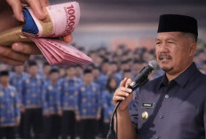 Kabar Gembira! Pemkab Kerinci Cairkan Gaji PPPK Paruh Waktu  