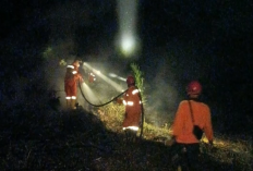 Kebakaran Lahan Melanda Desa Kilangan, BPBD Batang Hari Turunkan Petugas Padamkan Api