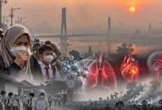 Bukan Hanya ISPA, Kabut Asap Jangka Panjang Bisa Memicu Stroke dan Kematian Mendadak !!!