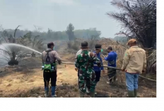 Kebakaran Lahan, Kebun Sawit Warga Terbakar, Api Mendekati Permukiman