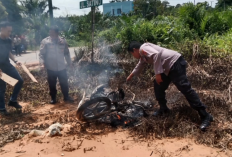 Warga Grebek Pencuri Sawit di Pijoan, Motor Pelaku Ludes Terbakar 