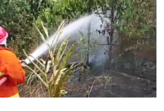 Lahan Warga di Bukit Baling Terbakar, 4.000 Liter Air Dikerahkan untuk Padamkan Api