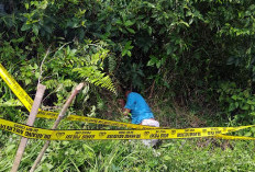 Geger! Mayat Misterius Ditemukan di Semak Pinggir Jalan Sengeti