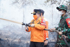 Kawasan Gambut Londerang Kembali Terbakar, Al Haris Turun ke Lokasi dan Uji Zat Pemadam Api Gambut