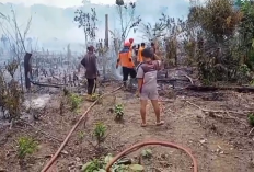 Kebakaran Hebat Terjadi di Tebo Tengah, Habiskan Kebun Warga Seluas 2,5 Hektar