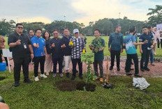 Tanam Pohon Kenanga Pada Rangkaian APEKSI, Wali Kota Maulana Tekankan Sebagai Upaya Menciptakan “Kota Tangguh”