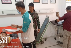 Kebakaran di Pemayung, 7 Hektare Kebun Sawit dan Jabon Terbakar