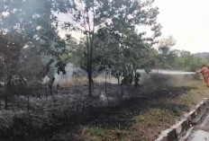 Lahan Eks Arena MTQ Muara Bulian Terbakar, Diduga Dipicu Pembakaran Sampah