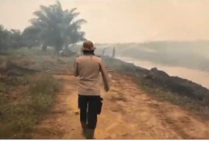 Karhutla Landa Kawasan Tahura Muaro Jambi, Tim Gabungan Berjuang Padamkan Api