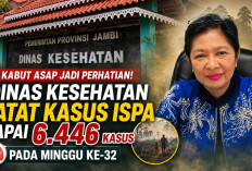Dinas Kesehatan Provinsi Jambi Catat Kasus ISPA Capai 6.446 Kasus pada Minggu ke-32, Kabut Asap Jadi Perhatian