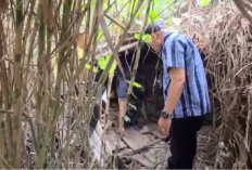 Polresta Jambi Gerebek Sarang Narkoba di Pulau Pandan, Enam Orang Diamankan
