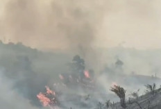 Bupati Batang Hari Duga Kebakaran Tahura Disengaja untuk Kuasai Lahan