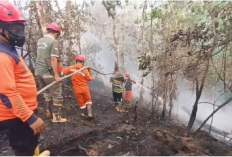 Karhutla di Bajubang, Tiga Hektare Kebun Sawit Warga Batang Hari Ludes Terbakar