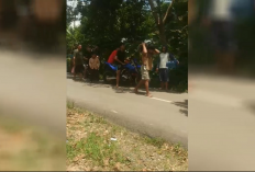 Pencuri Sawit Tertangkap Warga, Terduga Pelaku Diarak Sambil Membawa Setandan Sawit