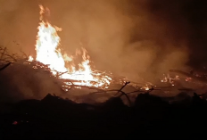 Kebakaran Hebat di Sarolangun Habiskan Dua Hektar Lahan Warga