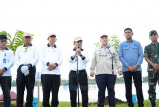 BBS Dampingi Al Haris Tanam Pohon Serentak, Jadikan HUT Ke-69 Provinsi Jambi  Momentum Konservasi