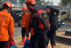 Gubernur Al Haris Kerahkan 146 Personel Satgas Karhutla ke Taman Nasional Berbak dan Sembilang