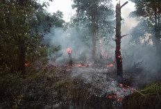 Kebakaran Lahan Terjadi di Belakang Kampus UIN STS Jambi, 4.000 Liter Air Dihabiskan