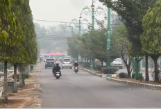Kabut Asap Berdampak, 3.349 Warga Batang Hari Terpapar ISPA