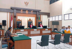 Sidang Sengketa Lahan , PEMPROV Jambi Ungkap Dugaan Perambahan Hingga Jual Beli Aset