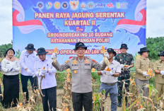 Polda Jambi Gelar Panen Raya Jagung Serentak Kuartal II 2026, Dukung Program Ketahanan Pangan Nasional
