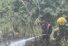 18 Kejadian Karhutla Terjadi di Muaro Jambi, Luas Lahan Terbakar Capai 37,95 Hektare 