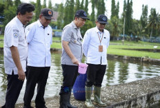 Tinjau BPBAT Sungai Gelam, Bupati Muaro Jambi Bidik Perikanan Jadi Mesin Ekonomi Warga