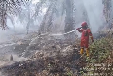 Tangani Karhutla, Pemkab Sarolangun Terima Bantuan Rp10 Miliar